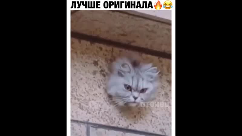 Metro goldwyn mayer представляет😂