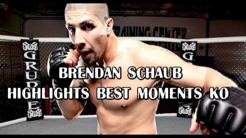 Brendan schaub highlights best moments ko