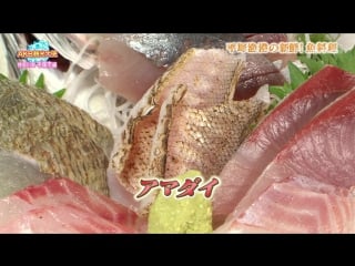 151217 akb kanko taishi ep31 (oshima ryoka, yokoshima aeri)