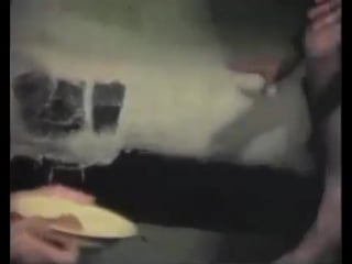 4chan овсянка, сэр!