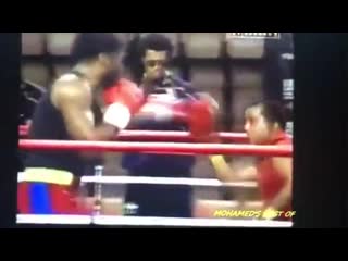 🎬видео с домашнего архива леннокса льюиса🥊