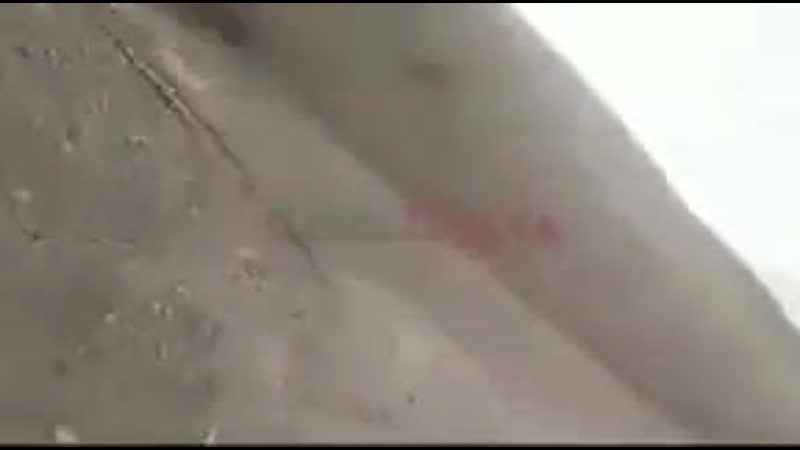 В сети появилось видео на котором, предположительно, один из сирийских боевиков, переброшенных турцией