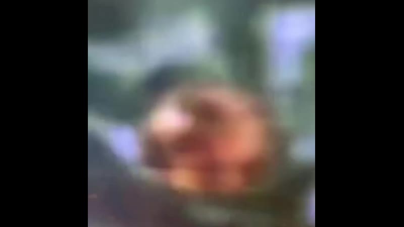 Baller shymside b6xkkhfb97z mp4