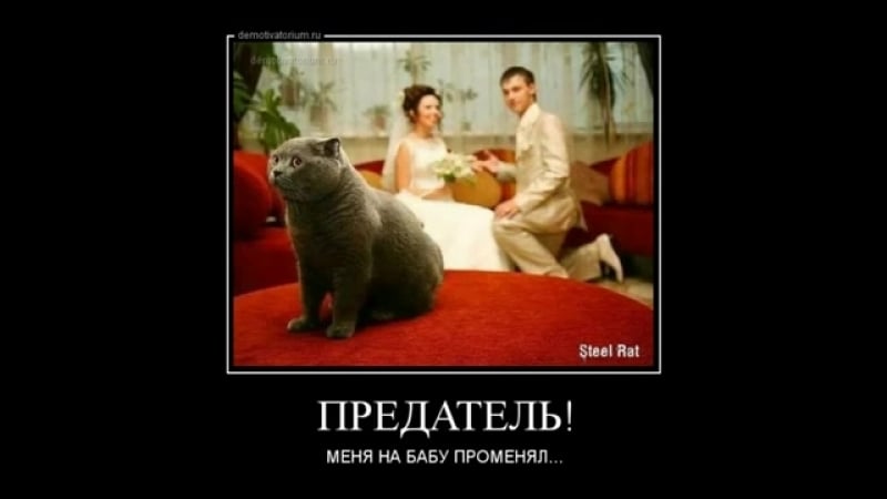 Некультурные для взрослых новые русские демотиваторы на бабу променял наша rus