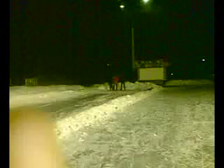 Пётр с бобой ссут)