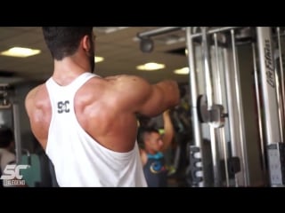 Sergi constance тренироа плеч (rus sportfaza)