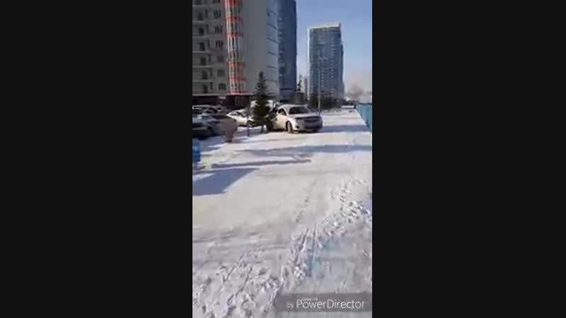 Автохам в белых росах