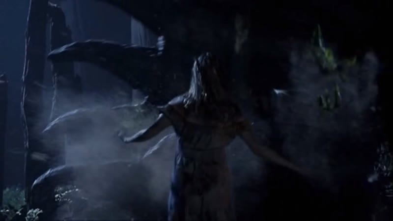 Millennium porn video – Тысячелетний жук / the millennium bug (2011)