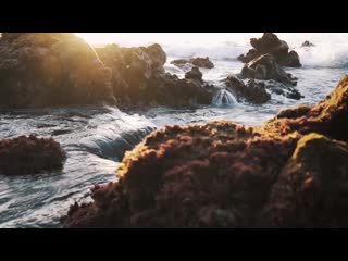 Pexels videos 1093662 mp4