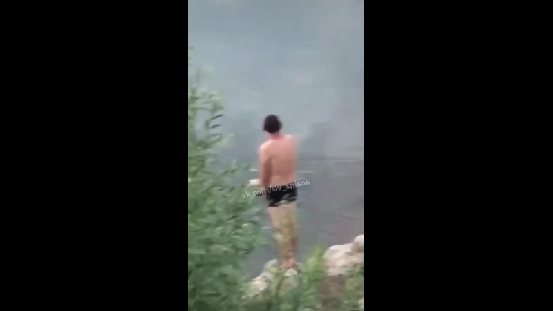 Справляет нужду в