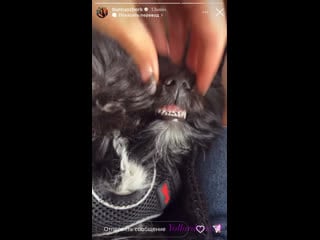 Сториз бурджу 28 06 22