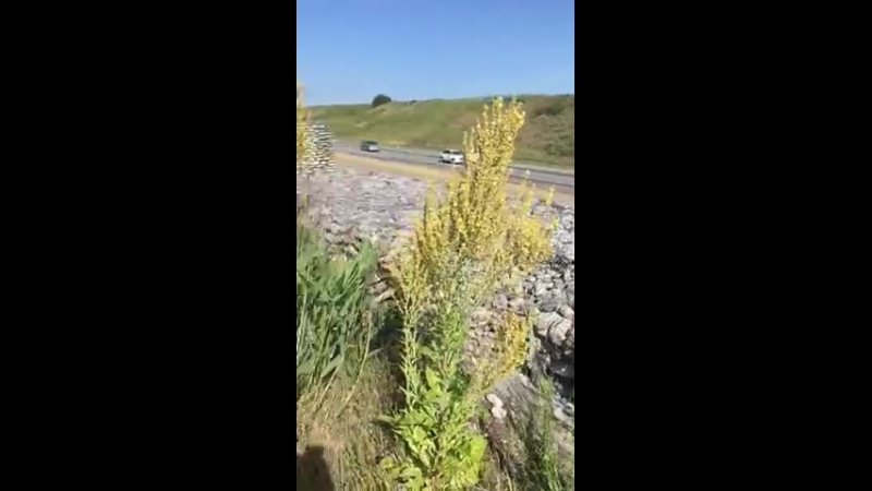 Остановился поссать