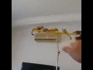 Летуны (vhs video)