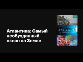 Атлантика самый необузданный океан на земле / atlantic the wildest ocean on earth серия 1