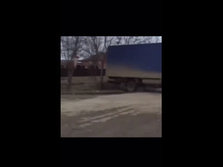 Газелист отжигает