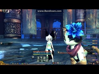 Bns/mushin`s tower/15th floor/summoner