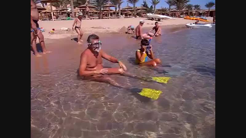 Beach albatros hurgada