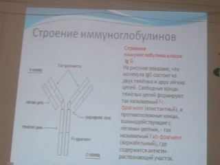 Говорун в одессе биовен иммунология и тбц