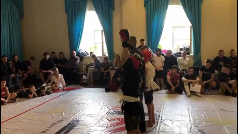 Витязь ногинск