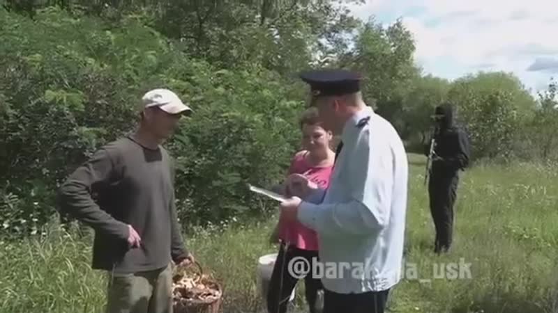 Грибной маразм