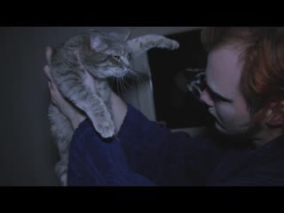 Bauhaus she's in parties