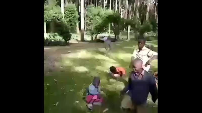 Ебаные негирята ебут коней ебать