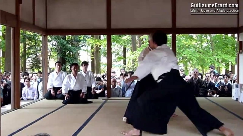 Ueshiba mitsuteru demonstration at the aikijinja taisai 2013