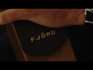 Lokka film fjord (march 2020)