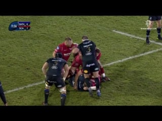 Bath scarlets