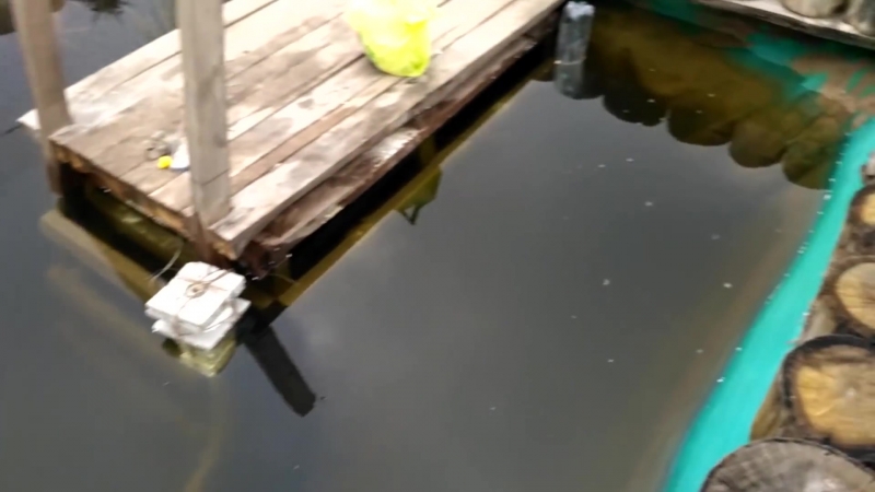 Искусственный пруд своими руками часть 4 подготоа к зиме известкование пруда