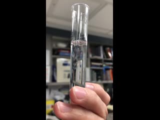 Positive rivalta test of fip respiration on a 5 month old ki