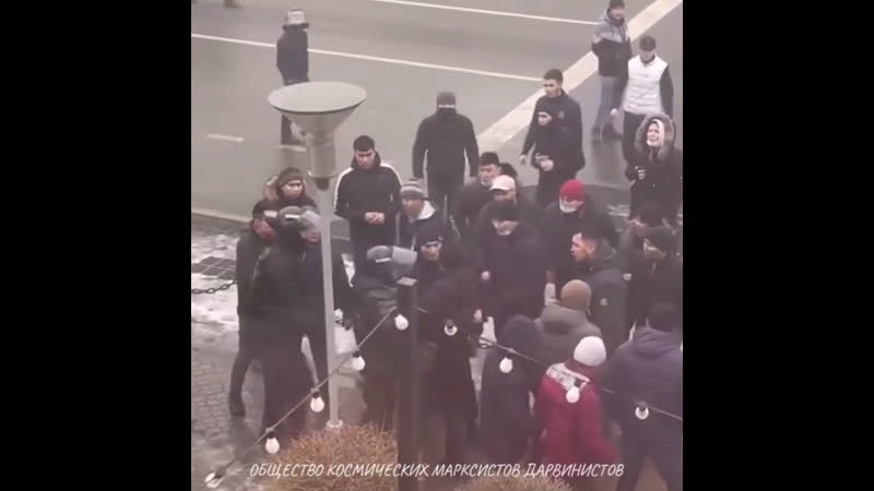 Елбасинские эцилоппы молодые степей