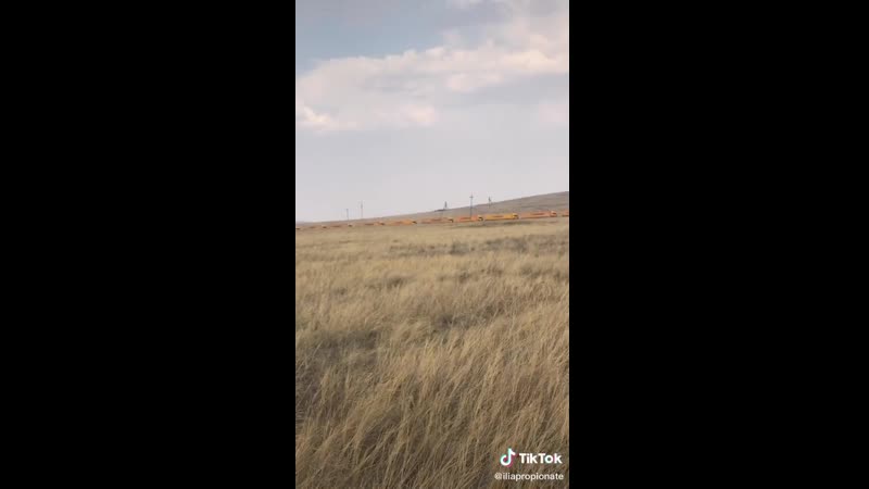 Что вывозят с россии в китай?