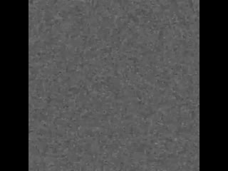 Lovely asian ladies 20200424 170643 0 mp4