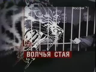 Волчья стая (док фильм)