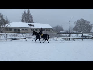 Тренироа на заре