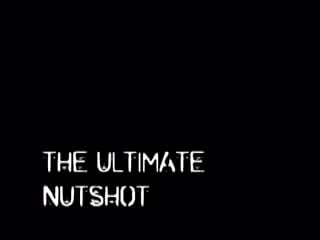 Овца дала мужику по яйцам!