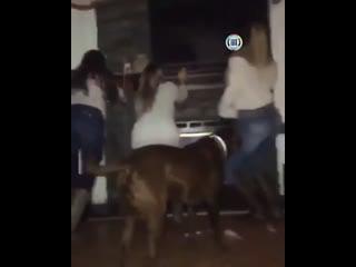 Слишком сексуально танцевала