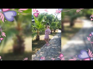 Video 153322 060720 mp4