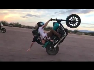 #harley stunt rider, #harley wheelies