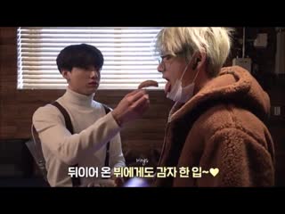 Заботливый макнэ