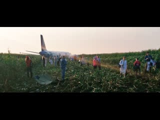 Самолет a321 сел в поле видео с места происшествия