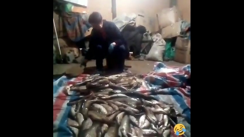 Все рыбаки как рыбаки, а мой !!!😂😂😂