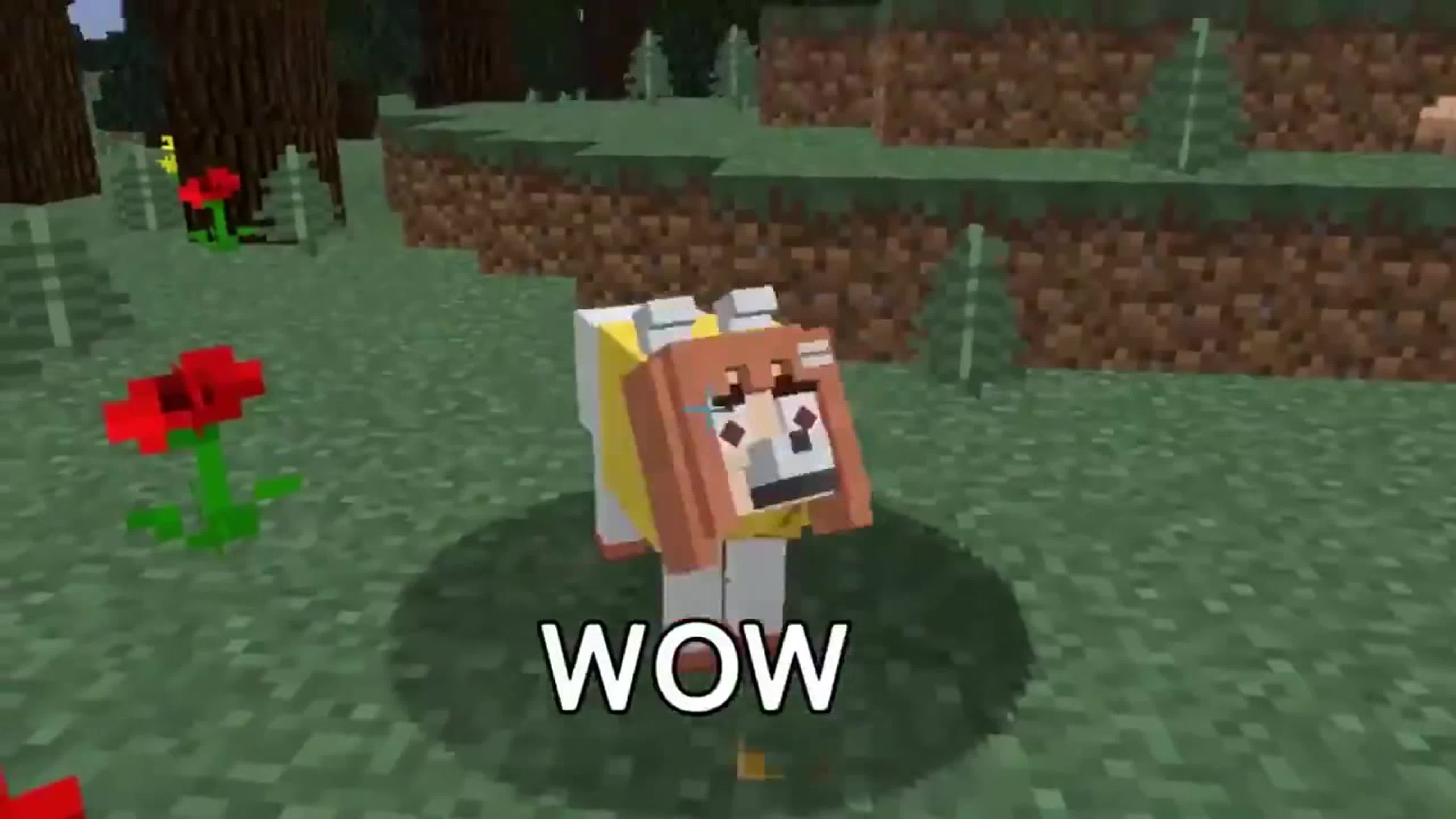 3d dogsex анимацыя 
