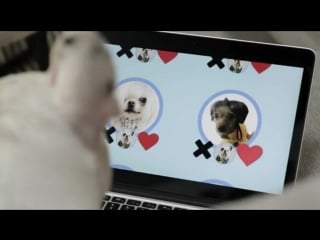 Sueños ninja donnie and april nickelodeon spain