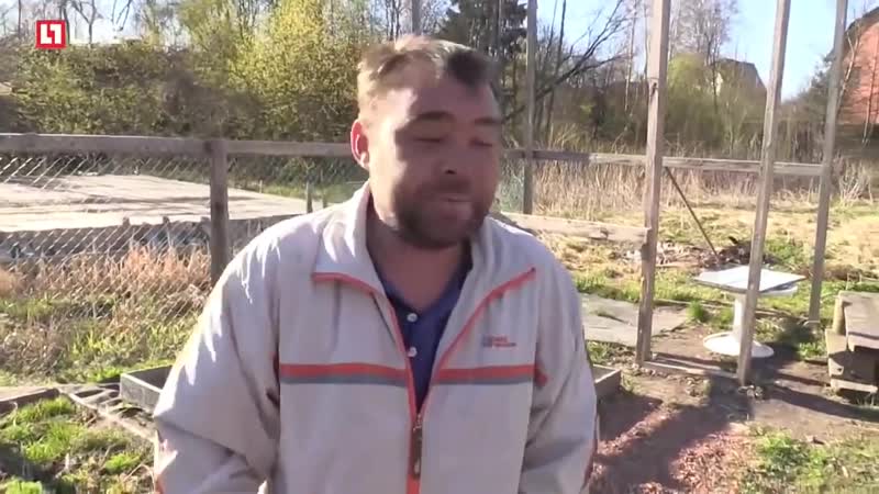 Вообще похуй абсолютно (с) димон тапок (720p) mp4