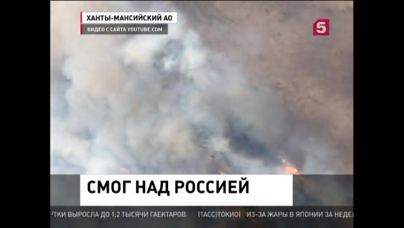 Ветер принес дым сибирских пожаров в центральный регион россии