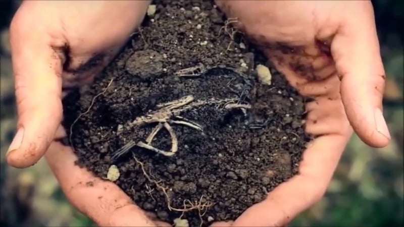 Фильм "русская тайга" | вырубки в сибири