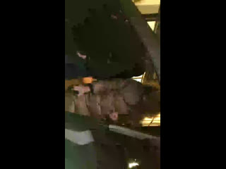 Live сирин и малыгин