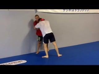 Dan henderson gegard mousasi training together